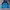 Gorpcore Track Jacket Pria Black Blue