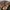 Stetson All American Flatcap Ivy Duckbill Cap Leather Look B photo 4