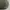 Kangol Suited Ripley Newsboy Cap Olive Green photo 9