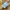 2000s Issey Miyake Hai Sporting Gear Indies Maru kei Top y2k photo 5
