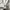 Japanese brand Vintage Casual Harrington jacket Pria white photo 3