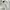 Japanese brand Vintage Casual Harrington jacket Pria white photo 5