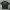 T-shirt TAPOUT LOCOS