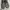 VANS DOHENY ALL BLACK photo 6