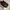 Luxury Loafer Pria burgundy photo 3
