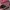 Casual Kids multicolor photo 4