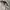 VINTAGE DETROIT WORK JAKET LEE COOPER photo 6