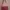 Casual Crossbody Bag Wanita red photo 2