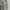 VANS AUTHENTIC PEWTER GREY photo 6