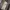 Nb 1000  photo 6