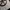 Topo simple cap art photo 9