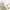 Full-button boxy fit textured fuzzy knit collar sweater ivor photo 4