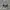 Vintage Gorpcore Glass Pria Gray