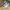 Adidas Adizero Adios Pro3 Y3 Dust Purple photo 3