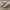 Minimalist Casual Sandals & slide Wanita white tan photo 4