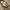 Minimalist Casual Sandals & slide Wanita white tan photo 6