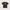Santa Cruz Skateboards Streetwear Skater T-shirt Pria green photo 2
