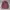 Japanese Brand Vintage Casual Formal Shirt Pria Multicolor