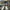 NEW BALANCE 1906A OLIVE JUICE SEA SALT , NEW BALANCE 1906A O photo 2