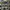 NEW BALANCE 1906A OLIVE JUICE SEA SALT , NEW BALANCE 1906A O photo 5