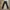 Levi's Casual Jeans Pria Black
