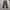 Celana Dickies 874 Original Fit photo 2