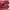 nike kd photo 6