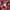EDWIN Vintage Casual Formal shirt Pria red photo 6