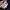 The North Face Luxury Puffer jacket Pria black photo 5