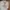 Nintendo64 official merch 2019 (size XL / lebar 58cm)BEKAS photo 3