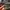 Tas Ransel Under Armour Project Rock Box Duffle Dwayne Johns photo 10