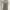 Sleeveless Light Gray | Abu Muda photo 3