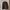Jaket Trench Coat Polo Sport Woman Parka Original