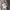 Maven kulot grey photo 6