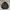 Jacket Harington Ex-Club  Not Carhartt Stussy Tnf Umbro Nike
