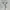 La gemme reversible cardigan sherpa free size J019 photo 6