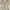 JAASE Bohemian Maxi Dress Snake Pattern photo 2