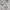 Biker Casual Fleece Pria white photo 3