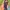 RARE ITEM! Ransel Backpack Lapalette Like New photo 9