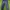 Champion Jogger Pants Navy Original