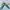 Adidas Streetwear Casual Sneakers Pria white photo 1