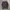 Y2k Grunge Emo Goth Vkei Maru Striped Long Sleeve Printed 