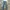 FLARED JEANS APT.9  photo 2