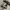 GU Wide Leg Nylon Baggy Pants photo 7