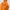 GORETEX ORANGE JAKET