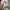 Converse 70s Low photo 7