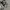 Converse 70s Low photo 9