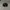 Topi Flatcap Kangol 507 Original - Baret Kangol - Kangol Sec