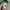 Vans Authentic 44 DX Anaheim Factory photo 8