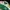 Back Number Streetwear Polo shirt Pria multicolor photo 3